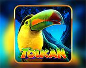 Toucan