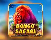 Bongo Safari